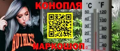 сатива Вязьма