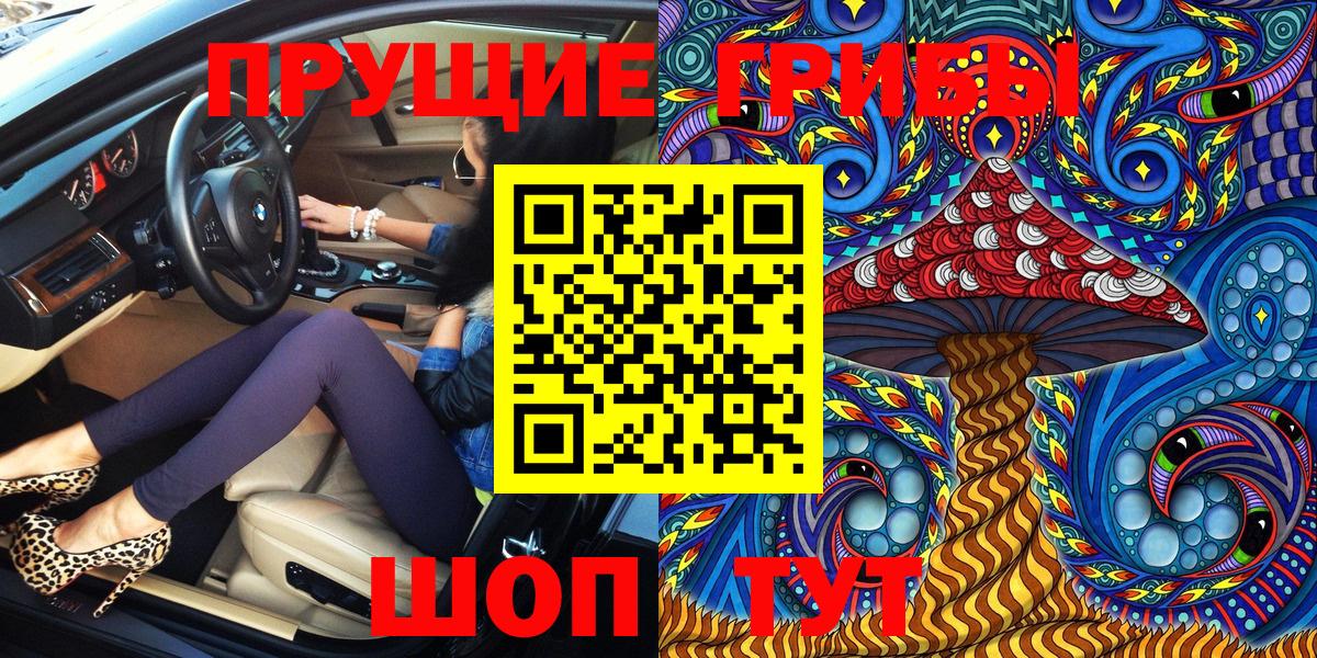 Галлюциногенные грибы Psilocybe Янаул